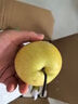 京鮮生 河北青翠蜜梨 凈重4.5斤 單果250g+ 青皇冠梨 生鮮水果 源頭直發(fā) 曬單實(shí)拍圖