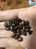 京東京造 意式咖啡豆500g 中深烘焙阿拉比卡咖啡豆濃郁低酸美式手沖金獎豆 曬單實(shí)拍圖