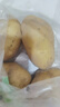 京鮮生 山東農特產(chǎn) 滕州土豆 洋芋 5斤 新鮮蔬菜 曬單實(shí)拍圖
