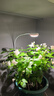 三思京東集采JC系列全光譜植物燈補光燈仿太陽(yáng)光植物生長(cháng)盆夾燈-7W 曬單實(shí)拍圖