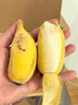 廣西蘋(píng)果蕉新鮮9斤整箱當季現摘水果皇帝蕉小米蕉西貢芭蕉banana 9.00斤 0斤 曬單實(shí)拍圖
