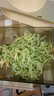 藍寶（BLAUPUNKT）全自動電動切菜機切菜神器多功能廚房家用能切片切絲土豆絲切碎機QC02 米白色 曬單實拍圖