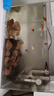 金晶超白魚缸客廳桌面小魚缸玻璃草缸龜缸懶人家用生態(tài)造景水族箱 長40CM寬24CM高25CM（厚度5MM） 金晶超白魚缸裸缸 曬單實拍圖