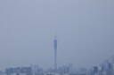 佳能（Canon）RF-S 55-210mm F5-7.1 IS STM 半畫幅微單變焦鏡頭 防抖中遠攝長焦鏡頭 RF-S 55-210mm 官方標配 曬單實拍圖