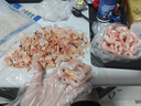 仁豪水產(chǎn) 熟凍北極甜蝦 凈重1斤 60-85只/袋 即食冰蝦 解凍即食 家庭聚餐 曬單實(shí)拍圖