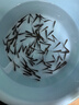 活體飼料魚(yú)麥穗魚(yú)小魚(yú)苗喂龍魚(yú)羅漢鱷龜開(kāi)口飼料魚(yú)淡水魚(yú)活魚(yú)包活 飼料魚(yú)1-2厘米200條送10%防損 曬單實(shí)拍圖