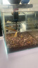 YEE魚(yú)缸金晶超白金魚(yú)裸缸8060家用客廳桌面小草缸龜缸玻璃生態(tài)溪流缸 【送上樓】60*30*35*6mm裸缸【推薦】 曬單實(shí)拍圖