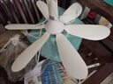 鉆石牌加大扇面電風(fēng)扇廚房臥室小吊扇小型電風(fēng)扇蚊帳小吊扇家用學(xué)生宿舍風(fēng)扇床上輕音電風(fēng)扇吊式小風(fēng)扇 曬單實(shí)拍圖