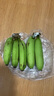 高山精品甜蕉現摘新鮮水果香蕉孕婦寶寶輔食搭配丫丫生鮮特產(chǎn) 1斤裝【青蕉發(fā)貨】 曬單實(shí)拍圖