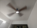 Breezism太贊科技風扇燈復古變頻客廳餐廳吊扇燈  出口轉內銷 黑色 曬單實拍圖
