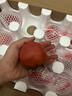 京鮮生沙瓤粉西紅柿 凈重3斤 單果100g+果菜兩吃 源頭直發(fā) 【搜生鮮館】 曬單實(shí)拍圖