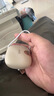 索愛(ài)（soaiy）GD35掛耳式藍(lán)牙耳機(jī)2025新款高端不入耳氣骨傳導(dǎo)無(wú)線開(kāi)放運(yùn)動(dòng)高音質(zhì)適用于蘋果華為OPPO/vivo小米 灰白色【Hi-Res音質(zhì)+曬單有禮】 曬單實(shí)拍圖