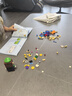 樂高（LEGO）積木馬里奧71440 與路易吉一起冒險(xiǎn)男孩女孩兒童玩具七夕節(jié)禮物 曬單實(shí)拍圖
