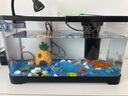 闊庭（KUOTING）魚(yú)缸一體缸自循環(huán)免換水魚(yú)缸家用小型桌面魚(yú)缸生態(tài)魚(yú)缸小魚(yú)缸黑色 曬單實(shí)拍圖