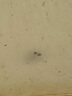 維達（Vinda）超韌手帕紙4層5張*30包 中式美學(xué)手帕紙 航天兔包裝新舊交替 曬單實(shí)拍圖