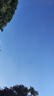dahua大華4G監控攝像頭全彩夜視王 4G終身免流量無(wú)需連wifi監控器戶(hù)室外高清手機遠程360度無(wú)死角P3E-64 曬單實(shí)拍圖