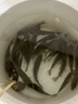 迎科高端進(jìn)口日本原裝超柔軟釣魚(yú)魚(yú)線(xiàn)魚(yú)竿主線(xiàn)強拉力尼龍線(xiàn)不打卷子線(xiàn) 102米軟金絲 【2組-拉力強勁】 0.6【進(jìn)口無(wú)損原絲】 曬單實(shí)拍圖