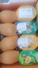 佳沛（zespri）新西蘭陽(yáng)光金果 8個(gè)裝 特大果單果122-146g 中秋水果禮盒 獼猴桃 曬單實(shí)拍圖