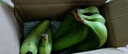 高山精品甜蕉現摘新鮮水果香蕉孕婦寶寶輔食搭配丫丫生鮮特產(chǎn) 2斤帶箱裝【青蕉發(fā)貨】 曬單實(shí)拍圖