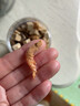 爬將軍凍干烏龜糧巴西鱷龜草龜通用食物飼料小營(yíng)養龜專(zhuān)用蝦干幼龜豬鼻龜 七合一肉粒龜糧凈含量750ml2罐 曬單實(shí)拍圖