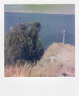 寶麗來（Polaroid）600型拍立得相機相紙 復古膠片【限I-2&Now&Now+&Lab可用】 25年7月600型白框彩色雙包相紙(16張) 曬單實拍圖