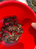 紅星二鍋頭 藍瓶綿柔8 純糧清香型名酒  特產(chǎn)禮品 節日送禮 53度 750mL 6瓶 整箱裝 曬單實(shí)拍圖