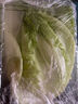 【富硒】生菜苗200g 曬單實(shí)拍圖