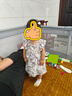 巴厘小豬女寶寶連衣裙夏季背心裙小女孩無(wú)袖薄款亞麻兒童公主裙女童裙子 時(shí)光清淺 90 曬單實(shí)拍圖