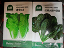 北蔬快菜種子速生奶油小白菜秋種蔬菜籽 速生18小白菜種子10g約3800粒 曬單實(shí)拍圖