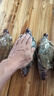 舟山梭子蟹鮮活特大野生大螃蟹新鮮冷凍海鮮水產(chǎn)海蟹飛蟹白蟹順豐 9兩以上/只【5斤凈重 超大肥美】 曬單實拍圖