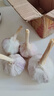 仙果春天精打細(xì)蒜 新鮮生鮮蔬菜多瓣大蒜頭無(wú)添加正宗 干蒜中果250g 曬單實(shí)拍圖