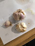山東大蒜【中果】新鮮干蒜紫白皮大蒜農家新蒜頭生鮮蔬菜調味辛辣 大蒜中果3.5-4.5cm【凈重 100g 】 曬單實(shí)拍圖