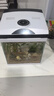 長銳魚缸一體缸自循環(huán)免換水家用客廳桌面小型金魚缸超白玻璃養(yǎng)魚缸 超白CRV200標準款+水蘭青竹景（真水草） 曬單實拍圖