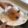 炊大皇 炒鍋不粘鍋少油煙加大平底多用煎炒鍋32cm 磁爐通用健康JK74041 曬單實(shí)拍圖