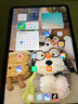 小米pad6Pro 11英寸【分期免息】驍龍8+144Hz高刷 學(xué)習辦公補貼新機 遠山藍【曬單送定制鍵盤(pán)電容筆】 8+256G 官方標配 曬單實(shí)拍圖