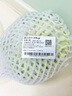 圓白菜約1kg 曬單實(shí)拍圖