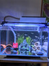 YEE全光譜魚缸燈水草燈魚缸夾燈水族箱專用爆藻led造景照明觀賞燈 10w/適合40-45cm魚缸 曬單實(shí)拍圖
