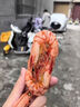 海仙津九節蝦干即食大蝦干烤蝦干對蝦干特大斑節蝦干大烤蝦福建干貨蝦 【大號款】九節蝦干250g 35-45只(凈重) 曬單實(shí)拍圖
