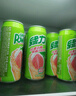 名仁 6個(gè)檸檬 375ml*24瓶 整箱裝 檸檬水維生素c果味飲料 曬單實(shí)拍圖