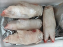 【順豐】10只生豬蹄豬腳豬爪豬蹄小肥蹄散養土豬肉冷凍豬蹄鹵豬蹄 帶筋土豬蹄1只【冷鏈速發(fā)】 曬單實(shí)拍圖