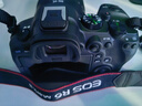 佳能（Canon）r6二代全畫(huà)幅微單相機 vlog視頻數碼高清R62代 EOS R6 Mark II專(zhuān)業(yè)級微單 R6二代+RF24-105 USM鏡頭套機 套餐四【拍套餐四升級套餐五 免費升級不加價(jià)】 曬單實(shí)拍圖