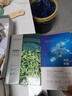 珀萊雅面膜補水保濕神經(jīng)酰胺面膜海月水母小球藻保濕女男士干皮油皮 30片小球藻+20片海月水母 曬單實(shí)拍圖