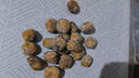 好吃點(diǎn)山西特產(chǎn)蜜棗金絲干蜜棗煲湯泡茶煮粥甜點(diǎn)小零食大個(gè)原粒包粽子 無(wú)核干蜜棗200g3-5g試吃裝 曬單實(shí)拍圖