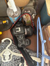 佳能（Canon）RF50mm F1.8 STM 大光圈標(biāo)準(zhǔn)定焦鏡頭 小痰盂人像定焦鏡頭 EOS R系列 RF卡口微單相機(jī)鏡頭 曬單實(shí)拍圖