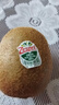 佳沛（zespri）綠奇異果 優(yōu)選大果12粒單果約113-135g  水果禮盒 獼猴桃 曬單實拍圖