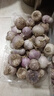 25年云南紫皮獨頭蒜干蒜頭新貨 直發(fā)臘八蒜大蒜糖蒜生鮮蔬菜半價(jià) 3斤(凈重2.7斤) 大獨頭蒜3.0-3.5cm 曬單實(shí)拍圖