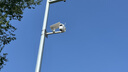 HIKVISION海康威視太陽(yáng)能攝像頭免插電800萬(wàn)雙攝家用室外4G終身免流量360度無(wú)死角AOV戶外監(jiān)控器手機(jī)遠(yuǎn)程T4 曬單實(shí)拍圖