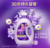 金紡衣物調(diào)香大師香氛柔順劑液【洗衣搭檔】薰衣草8斤 抗皺防褪色起球 曬單實拍圖