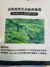 京東跑山豬生態(tài)黑豬肋排凈重4斤 新鮮速凍 煲湯烤肉食材 曬單實拍圖