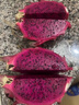 菲農(nóng)海南金都一號紅心火龍果新鮮水果一級紅肉蜜大果寶官方旗艦店 5斤 A+級 優(yōu)選特大果【單果8-9兩】 曬單實拍圖